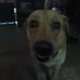 Profile Picture of Shawn Haines (@shawn.haines.14) on Facebook