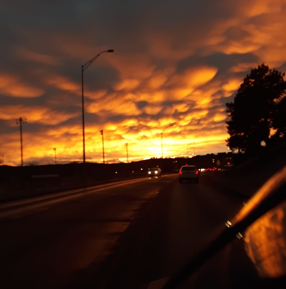 Profile Picture of Dayna Wurdeman (@dayna246star) on Poshmark