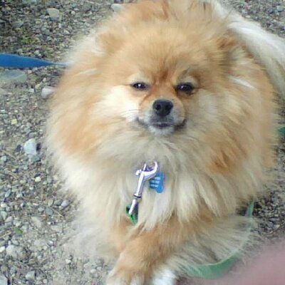 Profile Picture of Deborah Moran (@DebMoran52) on Twitter