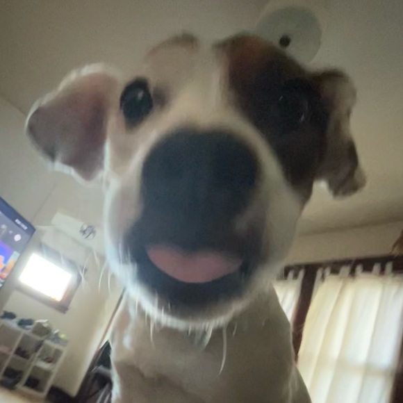 Profile Picture of Greta Hennum (@gshennum) on Poshmark