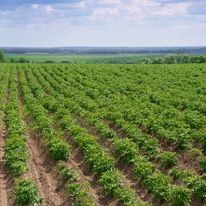 Profile Picture of Zemedel Hrad (@Zemedel-Hrad) on Facebook