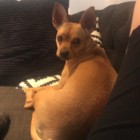 Amy Broadbent - Poshmark Profile Picture of Amy Broadbent (@abroadbent1990) on Poshmark