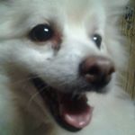 Profile Picture of Steven Arredondo (@epicnessofcool6263) on Instagram