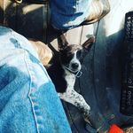 Profile Picture of Brian Keck (@brian.keck.5) on Instagram