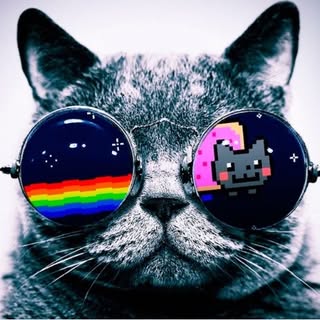 Profile Picture of Justin Hammond (@_justinhammond) on Instagram