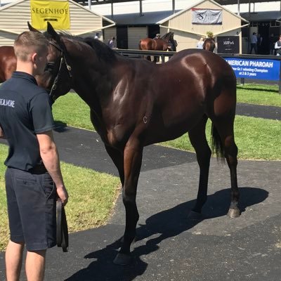 Profile Picture of Trevor Webb (@TrevorW48567487) on Twitter