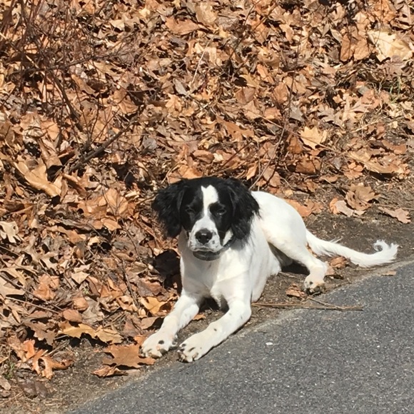 Zach Dagan - Poshmark Profile Picture of Zach Dagan (@zdstyle3) on Poshmark