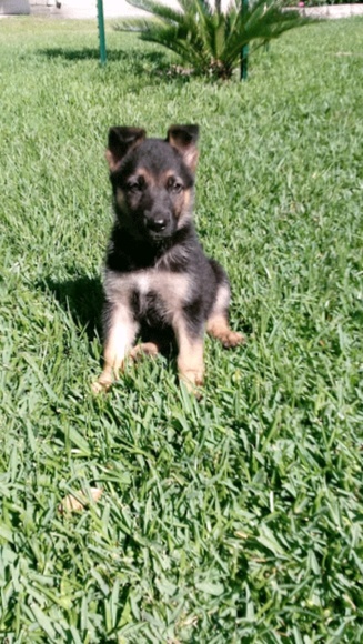 Profile Picture of Johana Cano (@johanacano_) on Poshmark