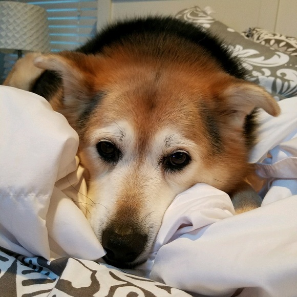 Profile Picture of Lauren Bialick (@lsb516) on Poshmark