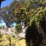 Profile Picture of Mckennabrock (@mckenna_brock) on Instagram