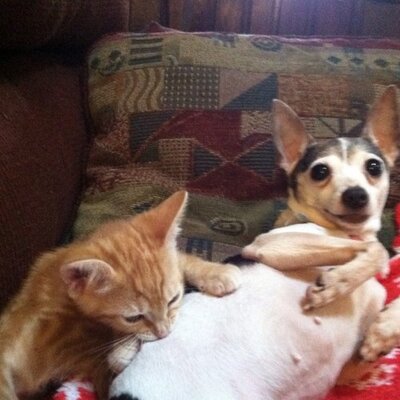 Profile Picture of Brandy Chilson (@bchilson) on Twitter