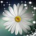 Profile Picture of Nancy Coburn (@nancy.coburn.56) on Facebook