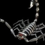 Profile Picture of Ken Scarpello (@ken.scarpello) on Facebook