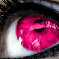 Profile Picture of Silvia Kolb (@silvia.kolb.12) on Facebook