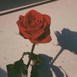 Profile Picture of 𝔠𝔩𝔞𝔯𝔦𝔰𝔰𝔞 ~ 𝔳𝔦𝔫𝔠𝔢𝔫𝔱 ~ 𝔩𝔢𝔢 (@clarissavlee_) on Instagram