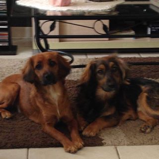 Profile Picture of Jeanclaude Ringot (@jeanclaude.ringot.7) on Facebook