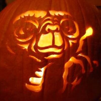 Profile Picture of Matthew MItchem (@FunnyMitchem) on Twitter