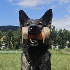 Profile Picture of Patrick Eichenberger (@patrick.eichenber) on Tiktok