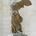 Profile Picture of Maple Leaf#1 (@leafmaple) on Pinterest