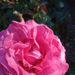 Profile Picture of Maria Drużkowska (@Maria-Drużkowska) on Facebook