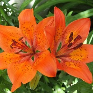 Profile Picture of Celia Duque (@celiaduq05) on Twitter