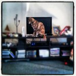 Profile Picture of Scott Carhart (@scottcarhart) on Instagram