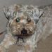 Profile Picture of Robin Hurd (@robin.hurd.3517) on Facebook