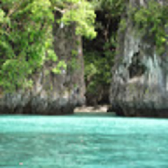 Profile Picture of Richard Ferzoco (@rpferzoco) on Poshmark