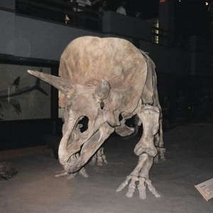 Profile Picture of Tamara Janvier (@369436189) on Myspace