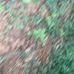 Profile Picture of Sam Caleb Womack (@sam.broly.71) on Facebook