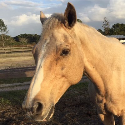Profile Picture of Asher K Manubens (@KyleManubens) on Twitter
