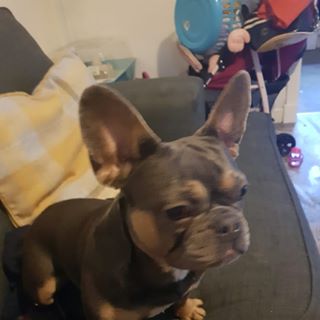 Profile Picture of James Bradie (@james.bradie.374) on Facebook