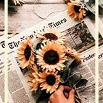 Profile Picture of /s_u_n_f_l_o_w_e_r♡✌💛🌻♡ (@cierra.laster.56) on Instagram