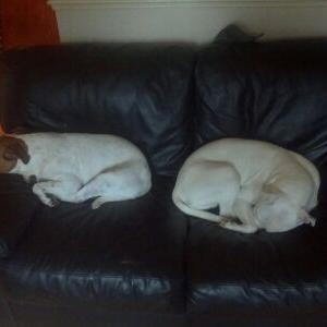 Profile Picture of Jeffrey Barker (@jeffreybarker15) on Twitter