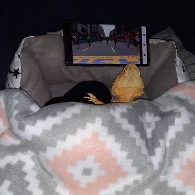 Profile Picture of Paul Pease (@PaulPease16) on Twitter