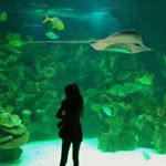 Profile Picture of Zeynep Deniz Saraçoğlu (@josephin_brown) on Instagram