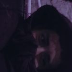 Profile Picture of Randy Silva (@randy_horni) on Instagram