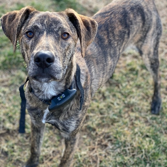 Profile Picture of Tony Savage (@savage351) on Poshmark