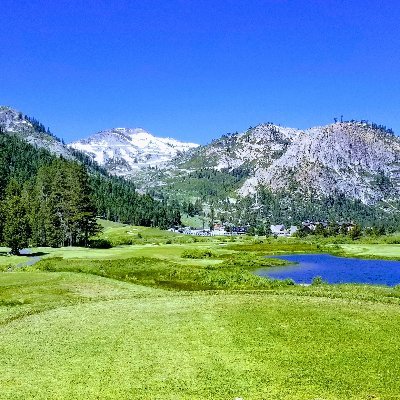 Profile Picture of The Funky Homosapien (@Marc_Iadarola) on Twitter