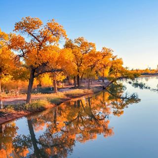 Profile Picture of Alvin Zhao (@alvin.zhao.568) on Facebook