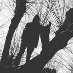 Profile Picture of Jacob Berkoff (@Jacob-Berkoff) on Facebook