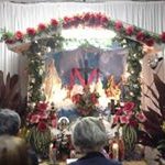 Profile Picture of Lani Phillips (@feleilanip) on Instagram