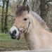 Profile Picture of Michelle Mahlmann (@michelle.mahlmann.9) on Facebook