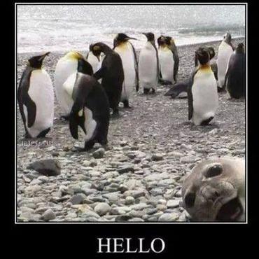 Profile Picture of Martin Schorn (@martiniplay) on Twitter