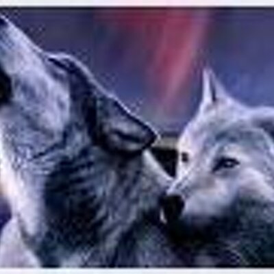 Profile Picture of Justin Ray Arnett (@justinrayarnett) on Twitter