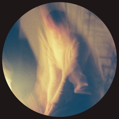 Profile Picture of Tanner Wilcox (@circleyra) on Twitter