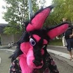 Profile Picture of Shannon Pfeiffelmann (@shannonpfeiffelmann) on Instagram