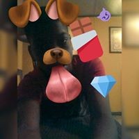 Profile Picture of Trey Edwards (@trey-edwards-9) on Quora