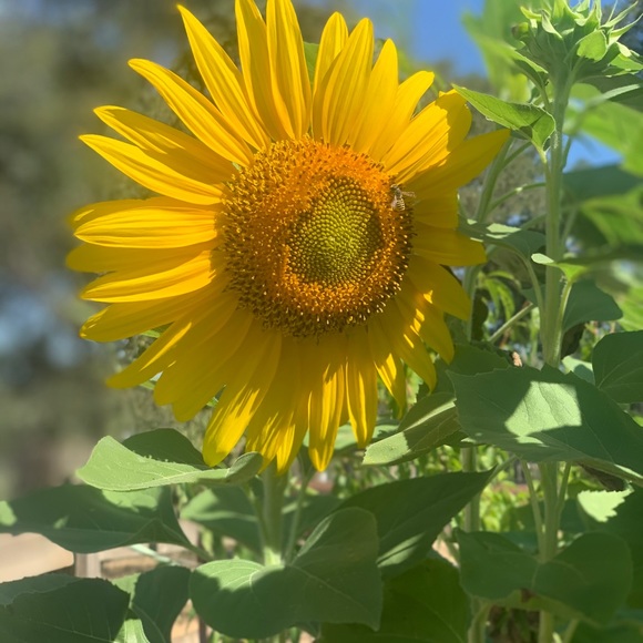 Shelly Leforce - Poshmark Profile Picture of Shelly Leforce (@shelly_leforce) on Poshmark