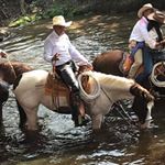 Profile Picture of DANNY SEGURA (@trompudo84) on Instagram